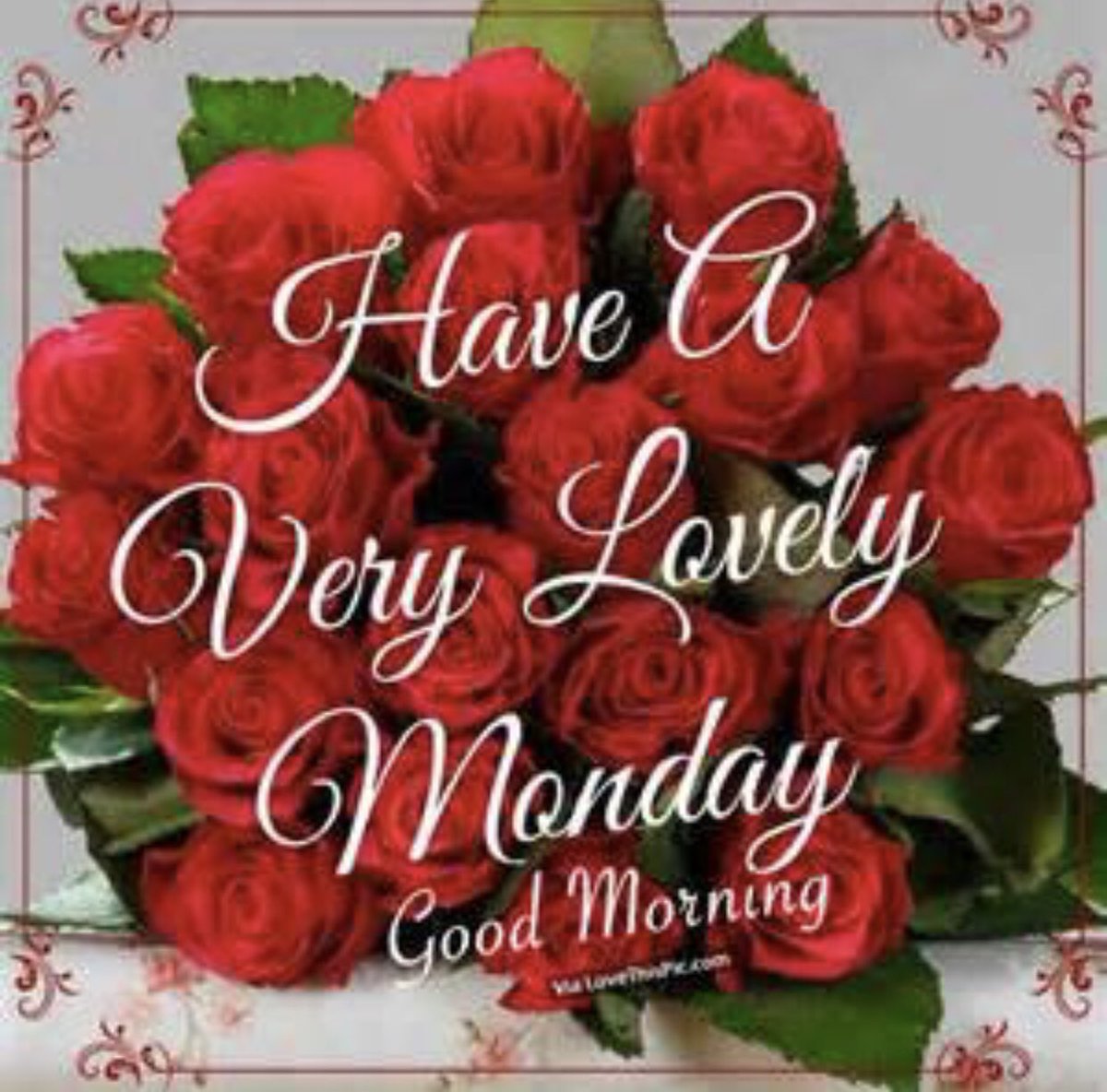 LynnNagel1's tweet photo. @BuildersFan Team,Wishing you all a magical Monday #BuildersFan ❤️ https://t.co/P7TiA02KBi