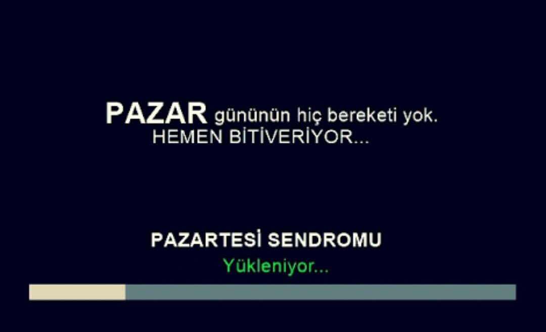 Alieda (@alieda54000) on Twitter photo 