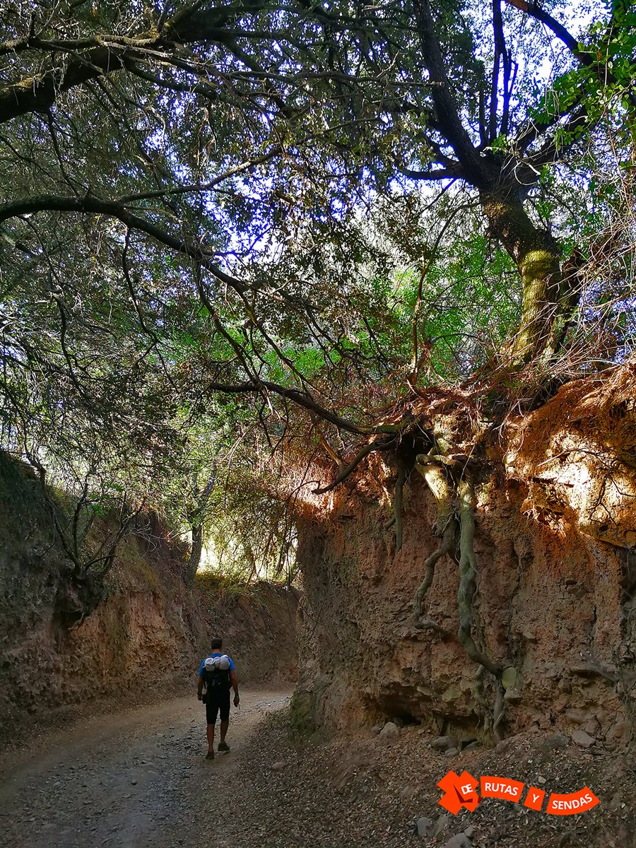 DeRutasySendas's tweet photo. Camino encajonado antes de #ToraldeMerayo en el #CaminodeInvierno Etapa 1 #caminodesantiago #saintjamesway #thecamino #ElCamino #winterroute https://t.co/lDVkxOXVsn