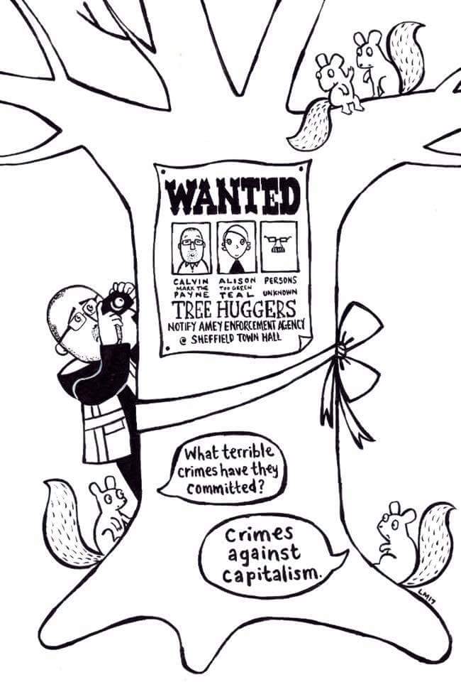 TheSadSquirrel's tweet photo. #Sheffield PFI tree scandal deepens as embattled council seek to imprison Green cllr Alison Teal &amp; Calvin Payne this Friday #SaveSheffTrees https://t.co/pBBfEDGWzj