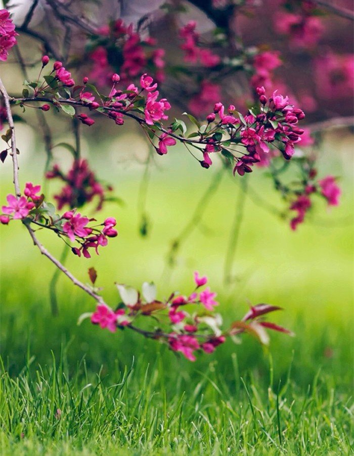 求驻菲律宾马尼拉 女助理一名guoyikeji.blogspot.com/2017/10/blog-p…