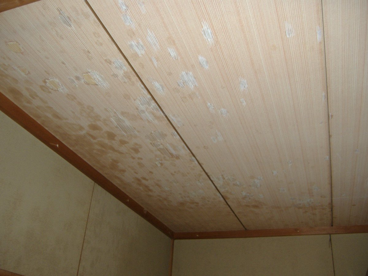 霜村工務店 No Twitter 松原市で内装リフォーム工事をさせていただきました 以前の天井が傷んできたので新しい天井材 への張替え クロス工事等になります 新しい天井材は南海プライウッドの目透かし天井で平成シリーズの山水 桧柄です 最後の画像は工事前です