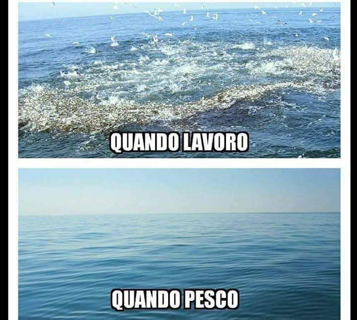 Lapescainmare's tweet photo. Quanta veritร .... ๐๐ข๐๐ฑ๐๐ฃ๐ฃ๐ฃ๐ฃ @lapescainmare #mangianze #carsonfishing #spinning #bolentino #surfcasting #kayakfishโฆ https://t.co/pSYg5ulWIq https://t.co/r6M9Ev6jwx