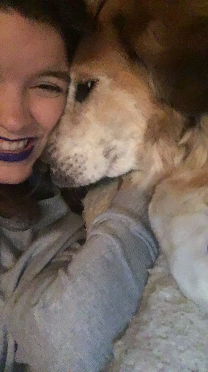 BekahFern's tweet photo. 💙💜💙 https://t.co/a1QVs4o7Vt