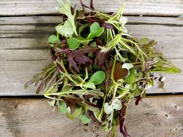 VeggieBros_'s tweet photo. GROW YOUR OWN! #veggie_bros #microgreen #superfood #urbanfarm #urbanfarming #farmersmarket #food #chefs #veggiebros https://t.co/GkSow3lY6H https://t.co/Stz0FDb0S3