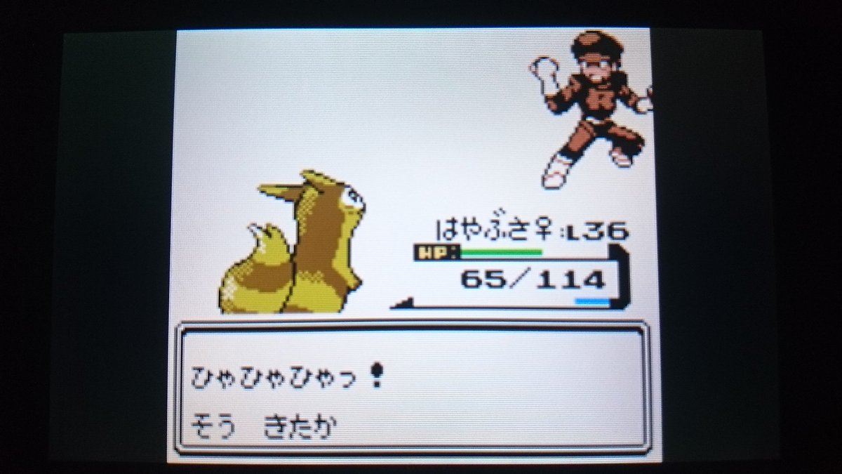 センジ בטוויטר ひゃひゃひゃ そう きたか コガネシティ ちかそうこ ロケットだんいんのしたっぱ ポケモン金銀 ボイスチェッカー