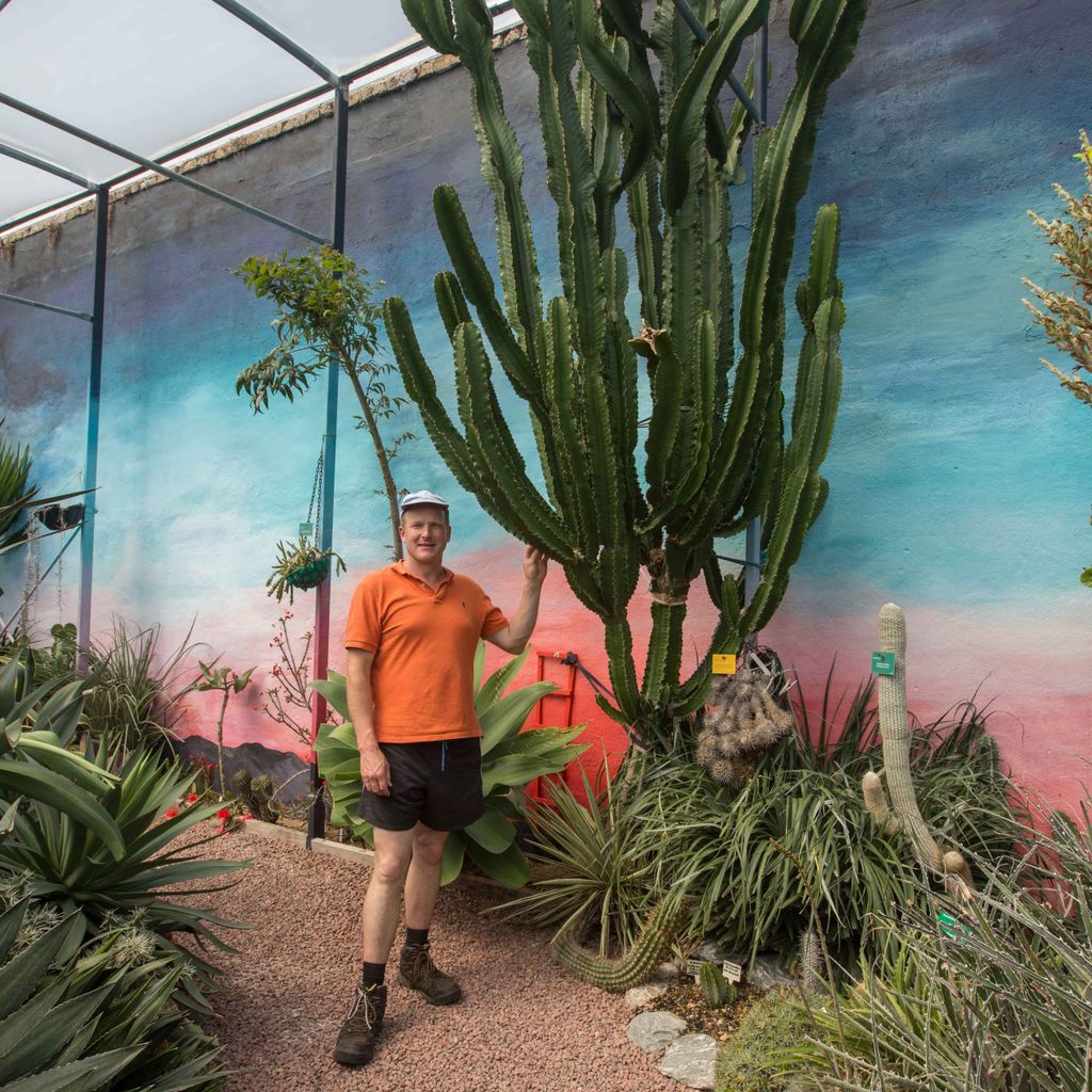 CactusSucculent's tweet image. Tom Hart Dyke, the man at the helm at the World Garden, Lullingstone Castle, Kent lullingstonecastle.co.uk/hot-spikey-cac…