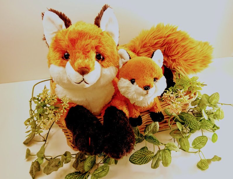 ◇お知らせ◇ ひざシリーズに新しい動物が登場！ ひざキツネ(ミ`ω´ミ