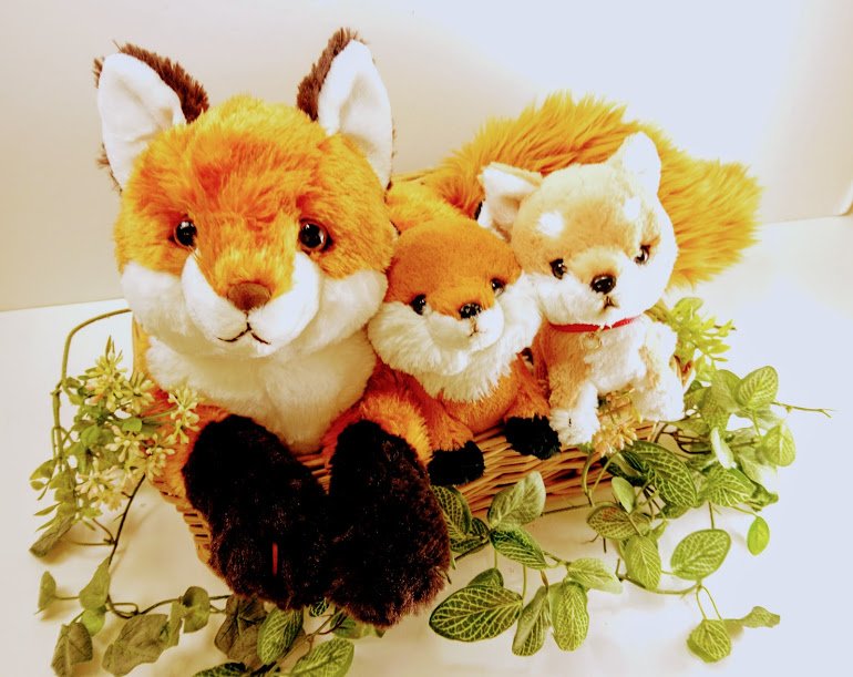 ◇お知らせ◇ ひざシリーズに新しい動物が登場！ ひざキツネ(ミ`ω´ミ