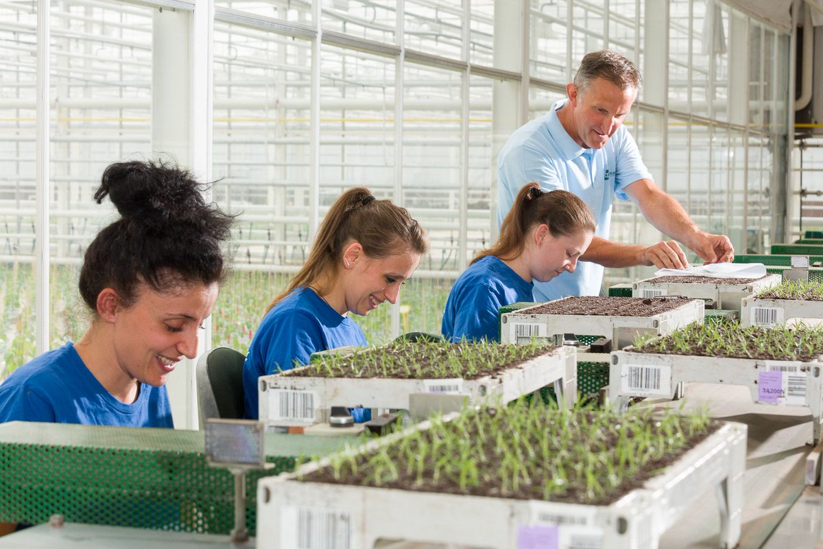 #vacature Ervaren teler/stekkenspecialist bij Vreugdenhil Young Plants in De Lier  via goo.gl/xTbe9B @PlkwVreugdenhil #tuinbouw
