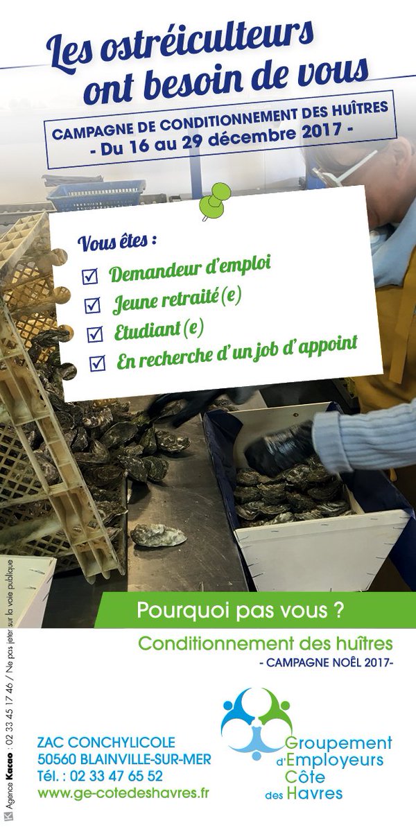 Le groupement d'employeurs Côte des Havres recherche des personnes pour le conditionnement des huîtres pour la fin d'année.