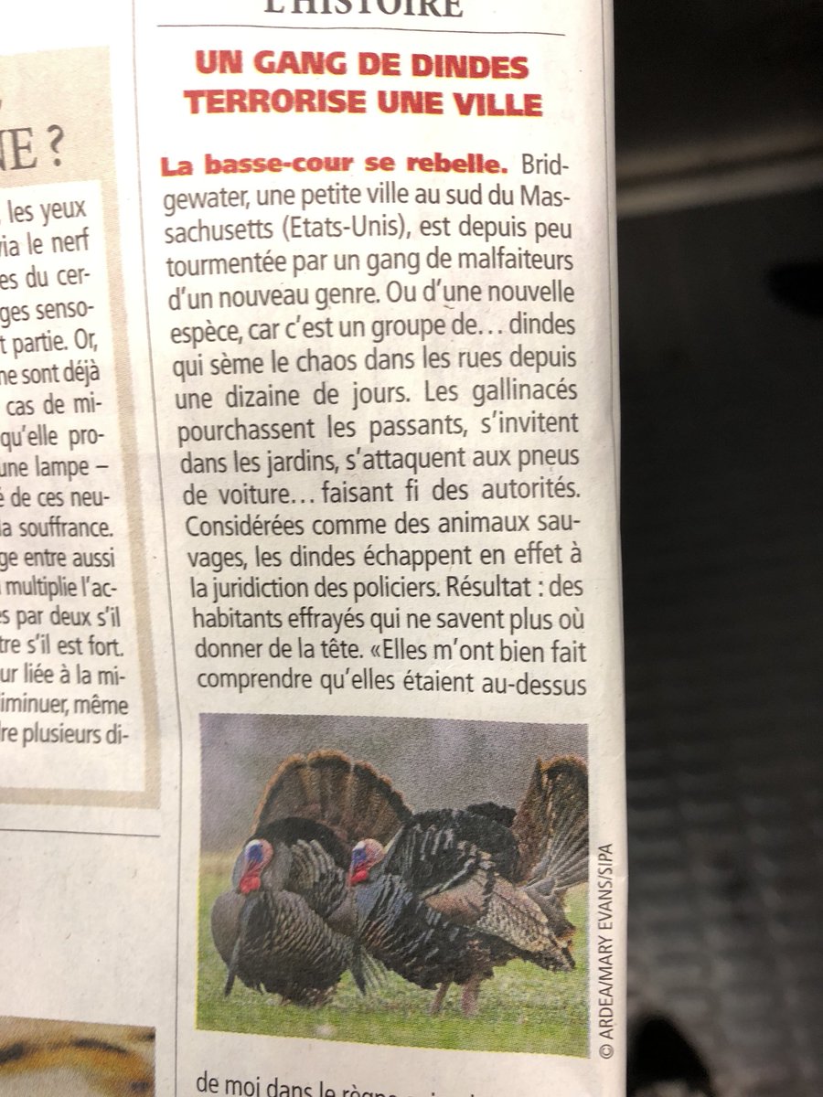 Nbannierducros's tweet photo. Help @TiboInShape il va falloir vite régler ça ! 🍗💪🏻 #teamshape #rizdinde https://t.co/YMy5w8s8YG