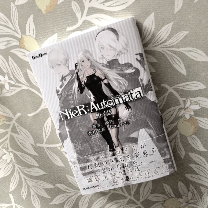 ニーアのtwitterイラスト検索結果 古い順