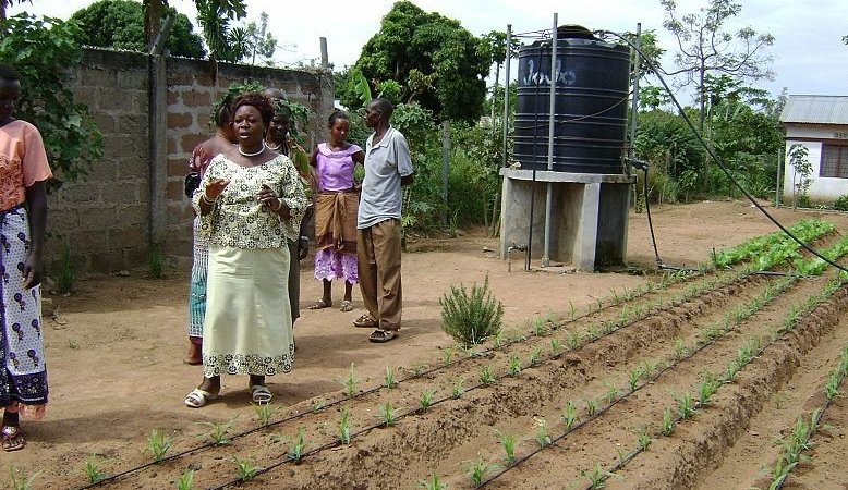 Antenna Foundation tweet media