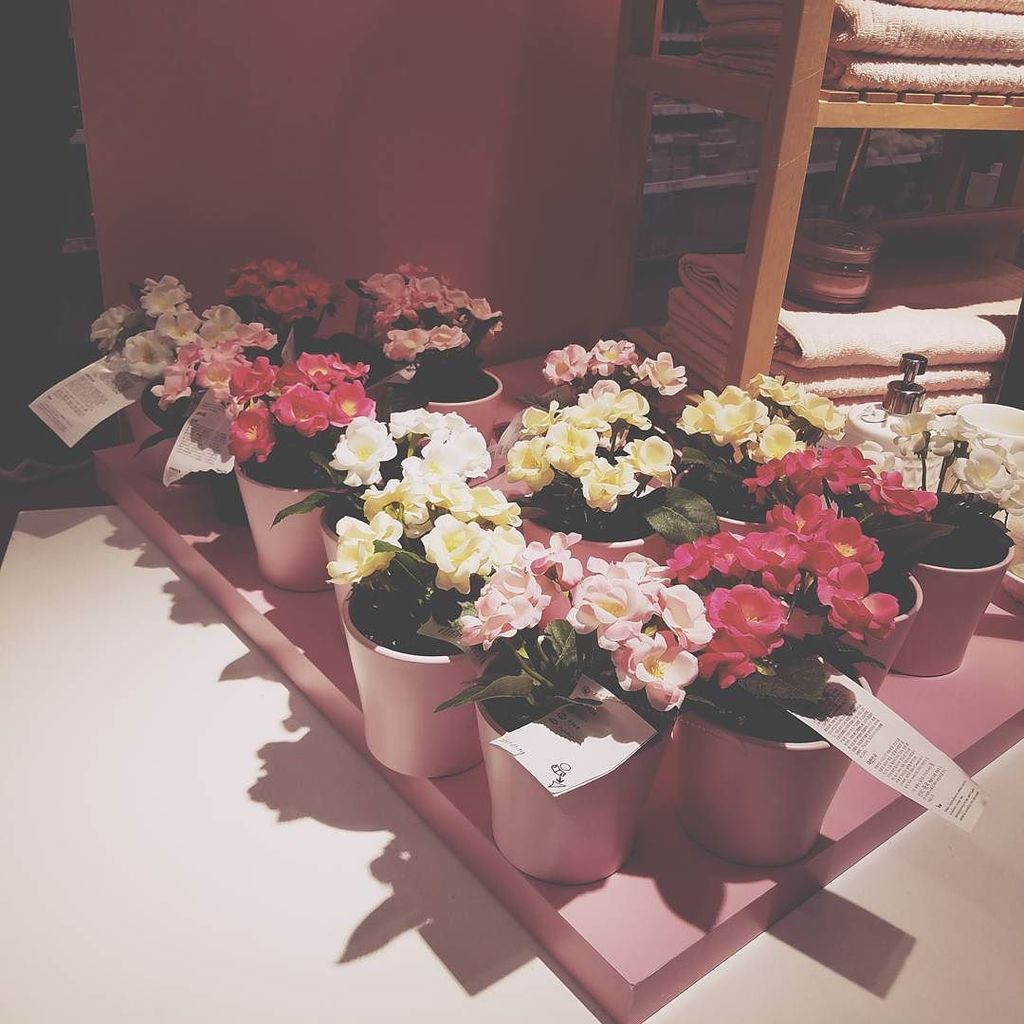 Gxsilverx's tweet photo. #宜家 #IKEA #vsco https://t.co/KHAl7fNUtu https://t.co/jEf3wogiA5