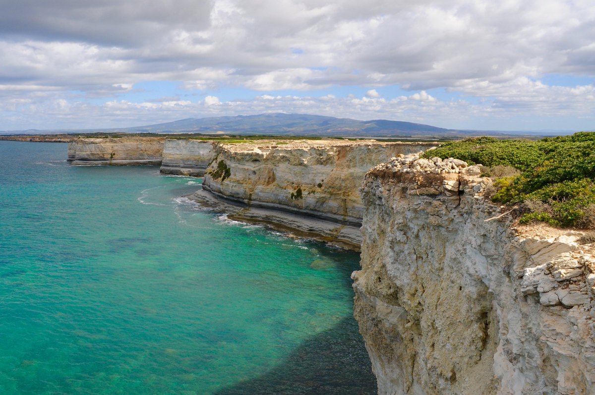 Eco_linfa's tweet photo. Qual'è il valore del capitale naturale? Una pillola sul blog di IES Alliance. https://t.co/RvnKVW8j9b https://t.co/VLIMiVN2JM