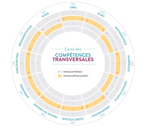 cpformation's tweet photo. Le guide des compétences transversales #référentiel #compétences #pratique #Formpro https://t.co/PbaLCxuC99 https://t.co/RjSYgWnDKl