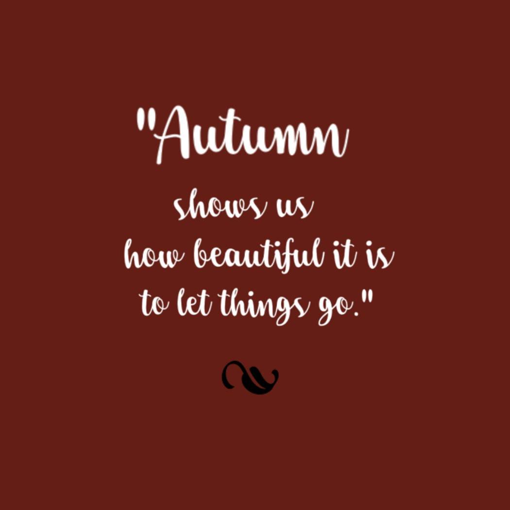 bianca_cavino17's tweet image. Jin Ju Hyung in Autumn 😊

📷: my fave photo of him grabbed from his IG

#DevJu