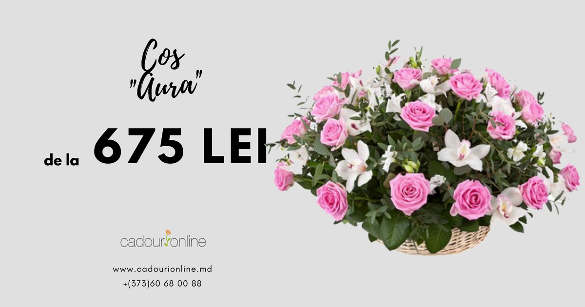 CadouriMd's tweet photo. 💚 Curieri politicoși și eleganți
💞 Livrăm în toată Moldova
💝 Lucrăm 24/24
🛒 Comandă acum:
➡ https://t.co/ziXu3VbTlx
➡ +(373)60 68 00 88 https://t.co/wifY4Cdv5x