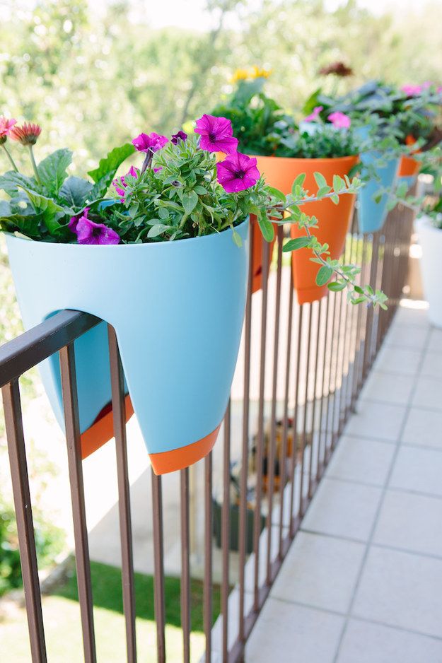 CatapultNature's tweet photo. Ask me what your balcony needs,here goes an answer in advance...
#balconyplanters #colorfulplanters #plantersjustright https://t.co/vdEJpwaWzb