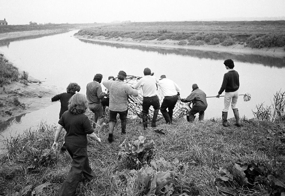edpkingslynn's tweet photo. In 1981, a walrus was caught at Denver Sluice and airlifted back to the Arctic. https://t.co/epGvhjfqYj