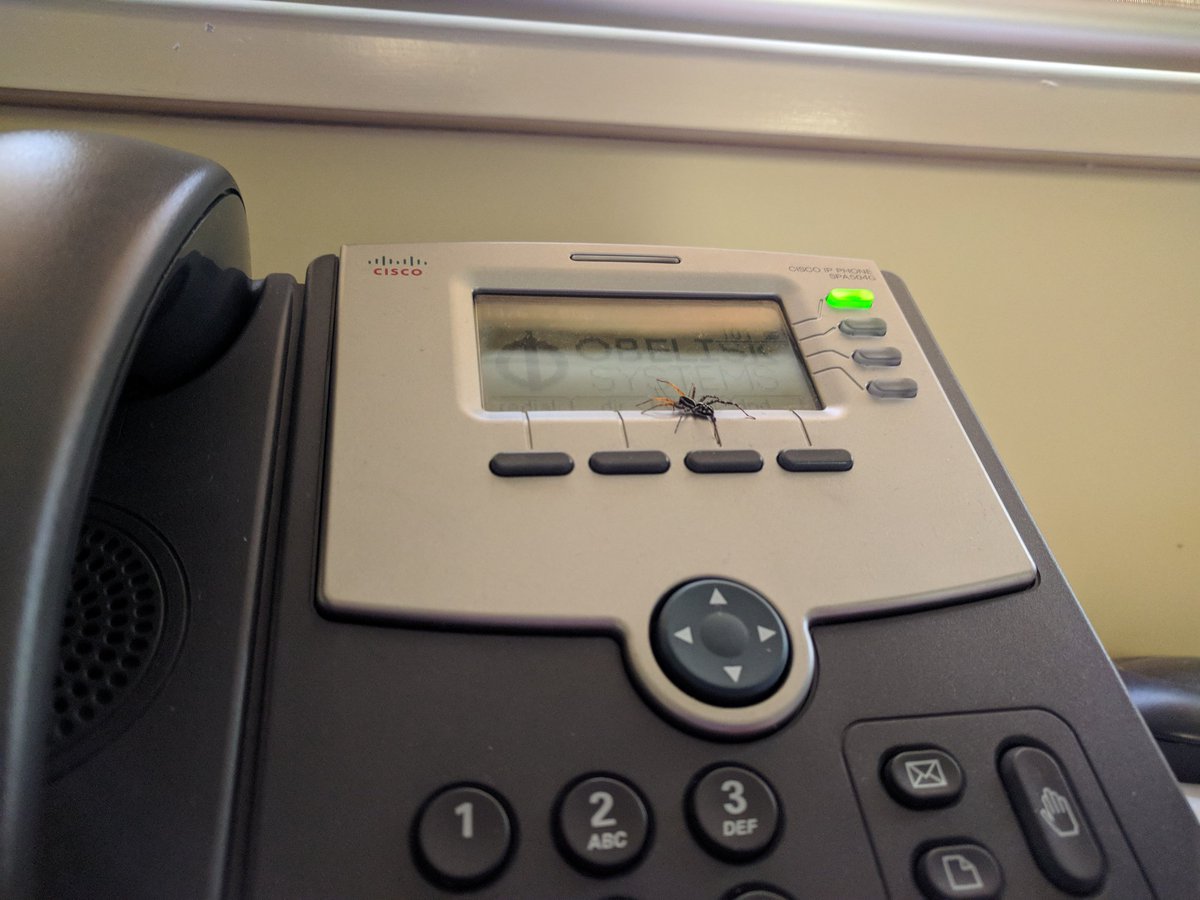 Well no phone calls today. #nope