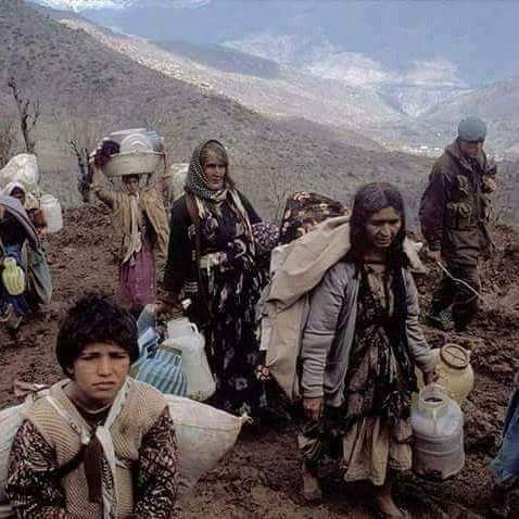 Omuzumda tabut, avucumda beşik.
Sarkacım, çiçek tozuyum. 
Zamana katıldımm.. 
Acı ve sevinç 
Sonsuzluk hükmüyüm...!!

.
DERSİMCE💔