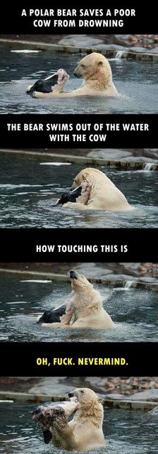 DjBlaster's tweet photo. #funny #comment #igers #love #lovethisquote #nofilter #song #joke #photooftheday #lol #wacky #lmao #lmfao #instagood #bf #chill #bestfrie... https://t.co/Ej03fnw9Ce