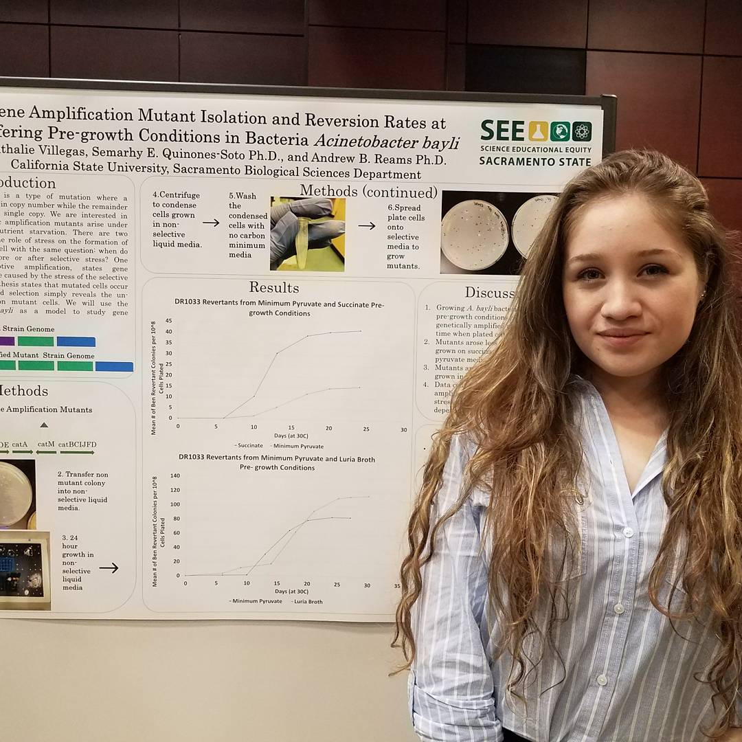 Our students presenting at the 2017 Provost's Student Research Fall Forum <a href="/sacstate/">Sacramento State</a> <a href="/SacStateSRC/">Sacramento State Student Research Center</a>  #makingithappenatsacstate #stingersup