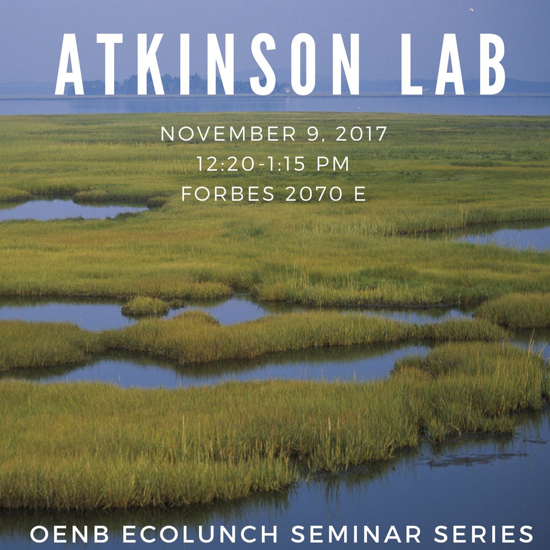 CNU_BioClub's tweet photo. Dr. Robert Atkinson will be presenting his ongoing wetland restoration research this Thursday! Bring your lunch! https://t.co/7k7lNA0fNr