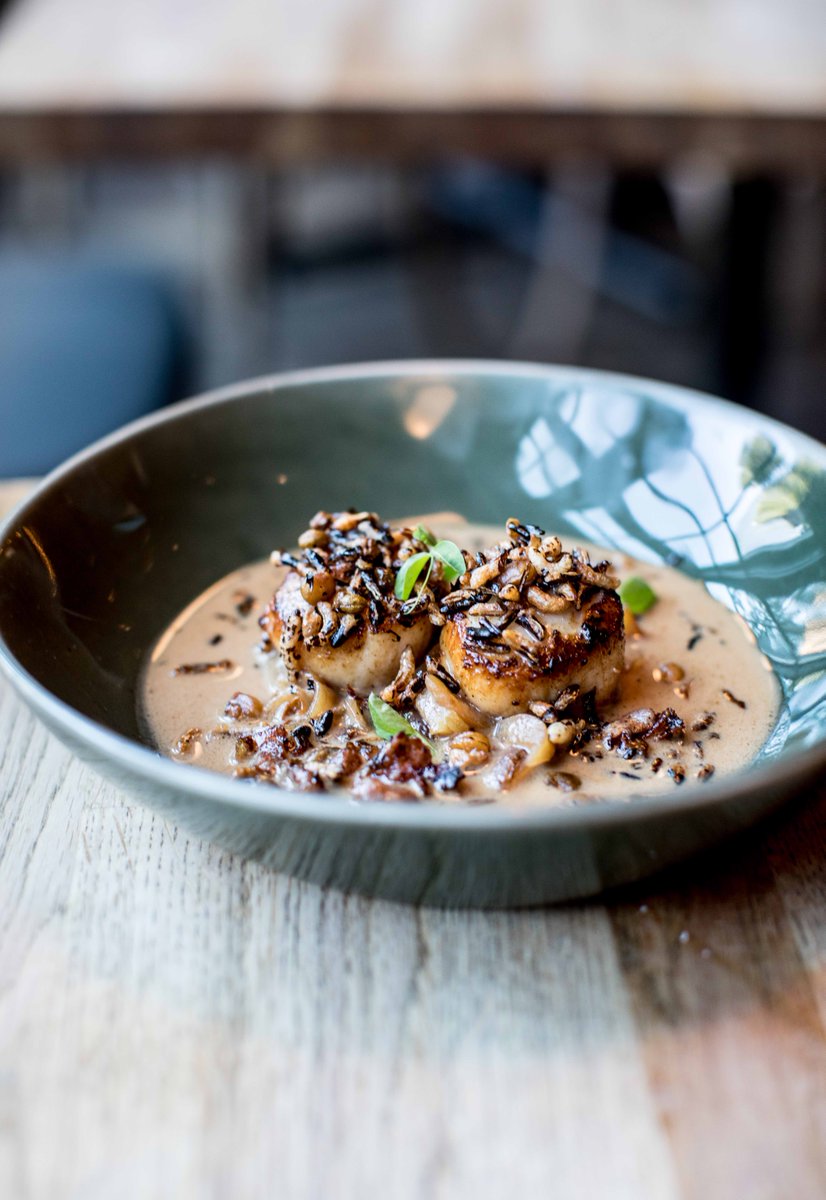 J. Patrick Rollo 🥑 (@ThePatrickRollo) | Twitter