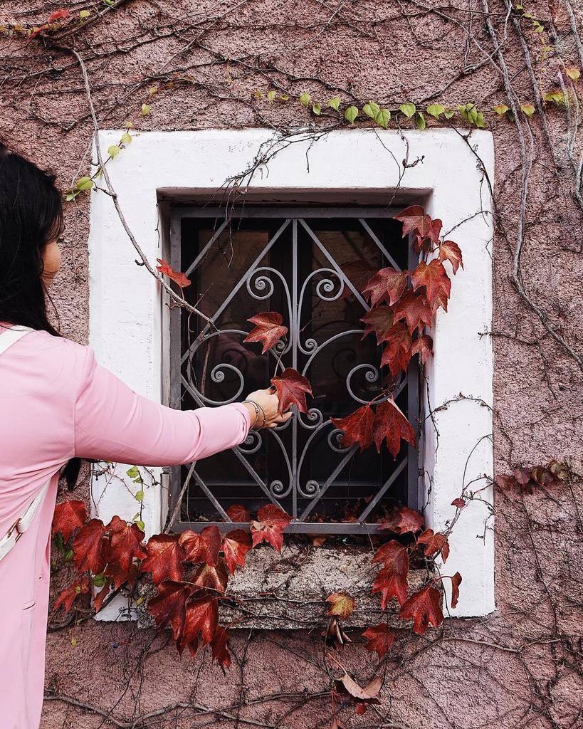 Alice_S__'s tweet photo. Autunno modalità ON 🍂🍁🍄 https://t.co/AoeOV1EB7j