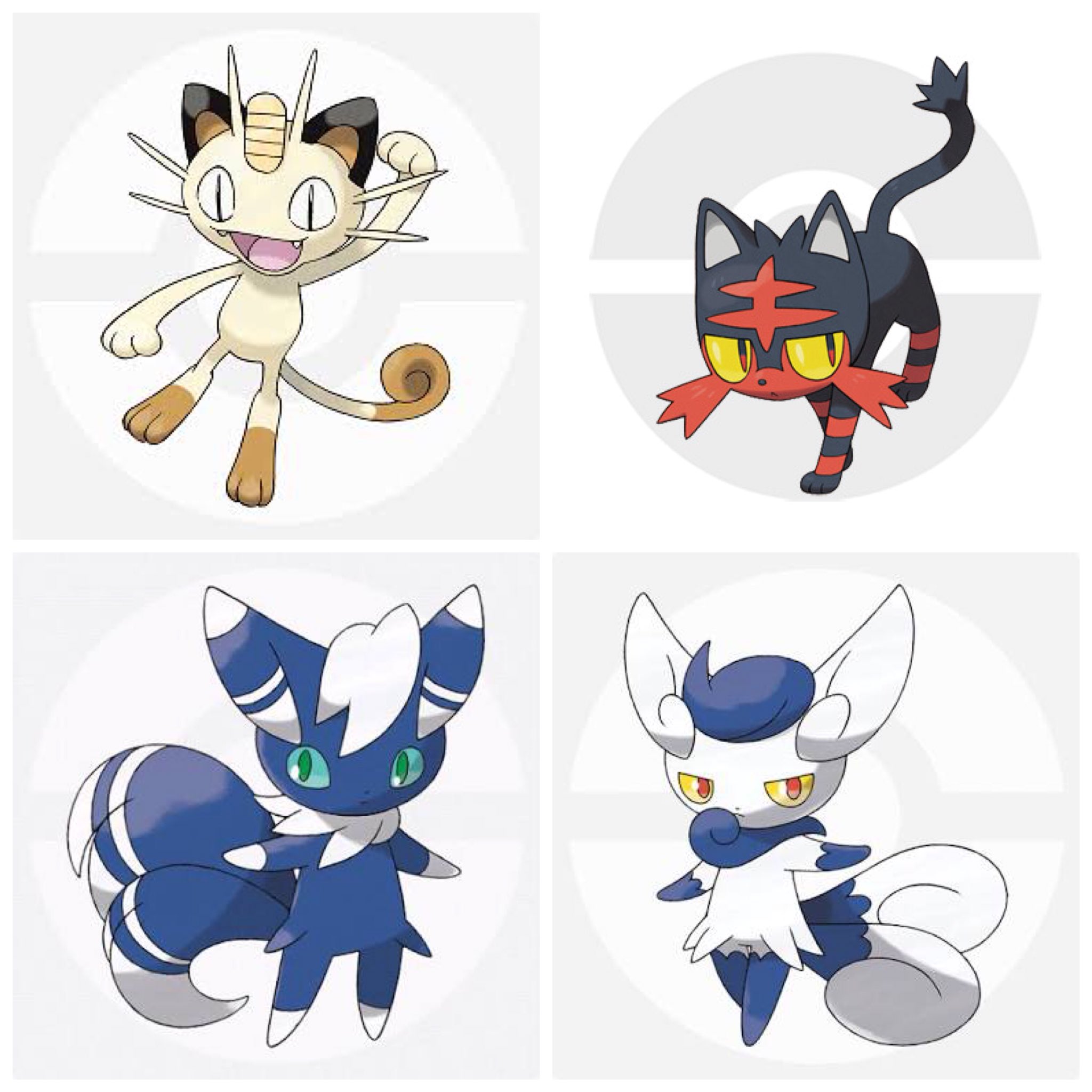 ムフィ 好きなポケモンで旅を と思った時に 猫パーティとか犬パーティは憧れ 猫より犬ポケモンの方が少ないけど 選んだ画像は進化したりしてなかったり W T Co Ssxngukijy Twitter
