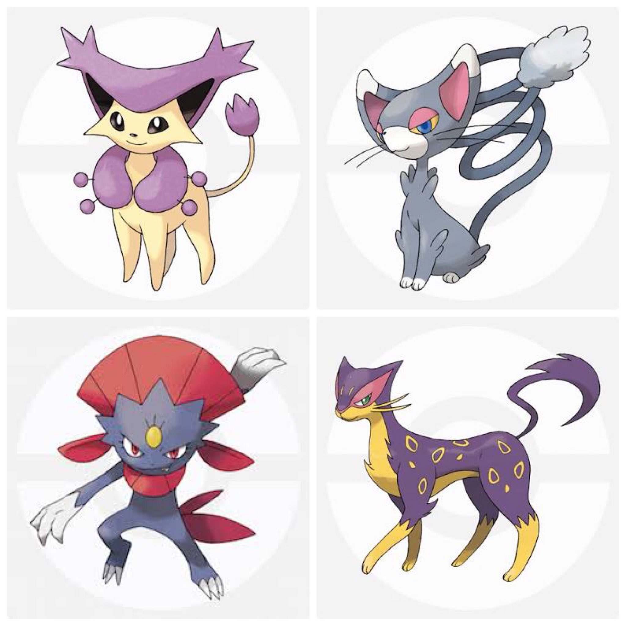 ムフィ 好きなポケモンで旅を と思った時に 猫パーティとか犬パーティは憧れ 猫より犬ポケモンの方が少ないけど 選んだ画像は進化したりしてなかったり W T Co Ssxngukijy Twitter