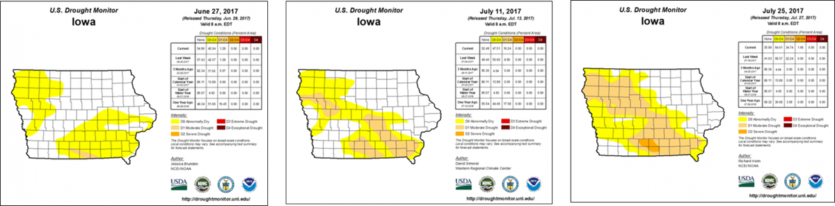 ISUCropNews's tweet photo. Addressing the Edge or Border Effect on Corn Yields https://t.co/zxJa38erVr https://t.co/TziBFiqnWb