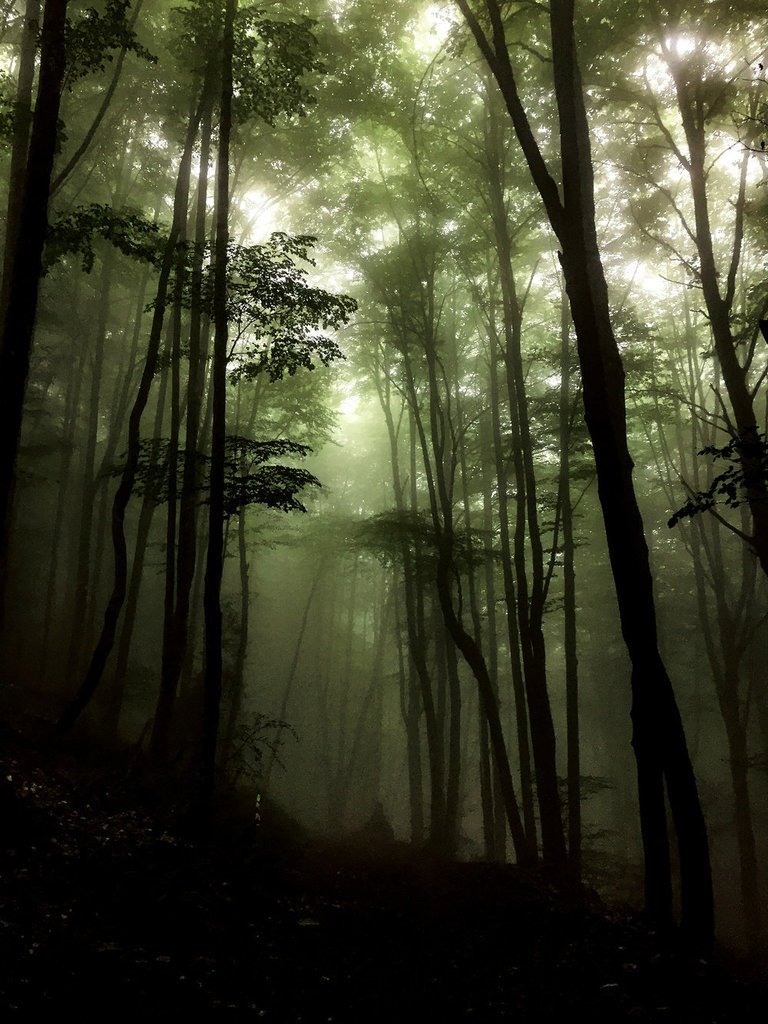 NYTT PODCAST-AVSNITT: EHUNMILAK

Ehunmilak betyder 100 miles på Baskiska. Loppet är relativt okänt, men är ett av … ift.tt/2hN9uyz