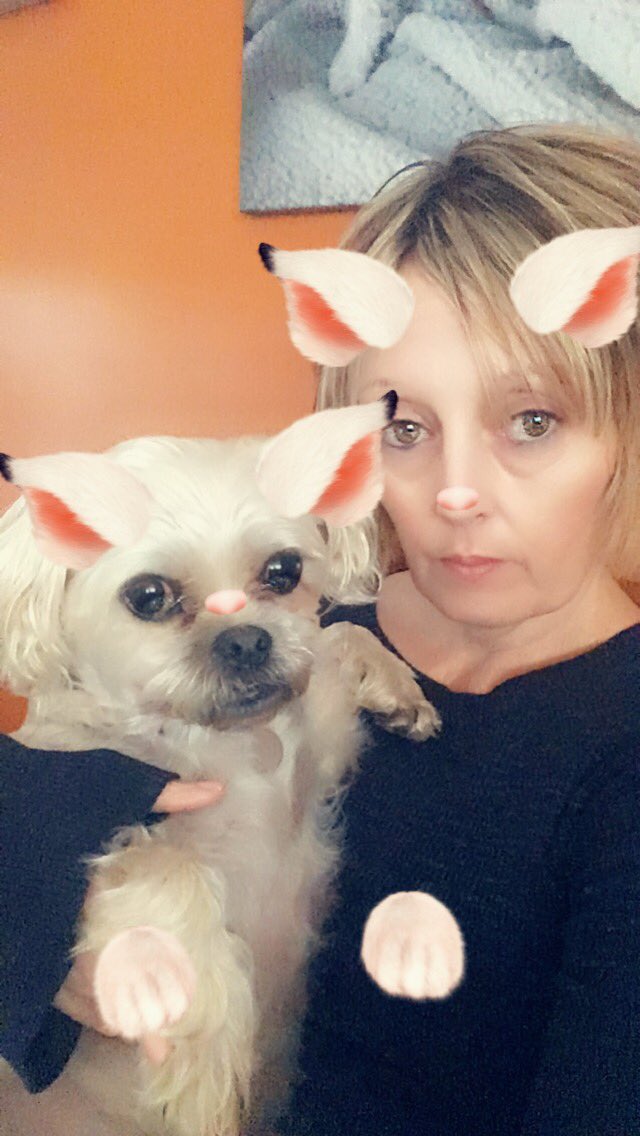 lisa kennelly tweet media