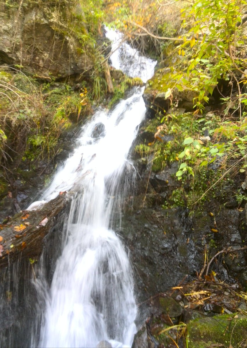荒川の源流です