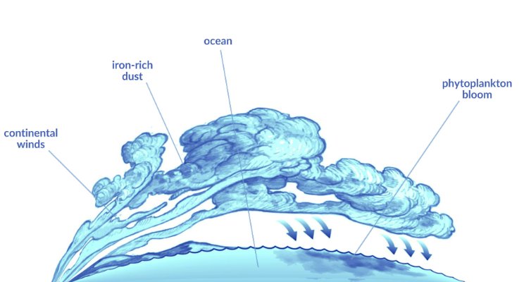 McNameeJason's tweet photo. Cool new #research @TAMU!

"#OceanSeeding Of The Pacific #Ocean May Have Played A Role In Global #ClimateChange"

https://t.co/05SIG3XAiI https://t.co/A2pudV5HEt