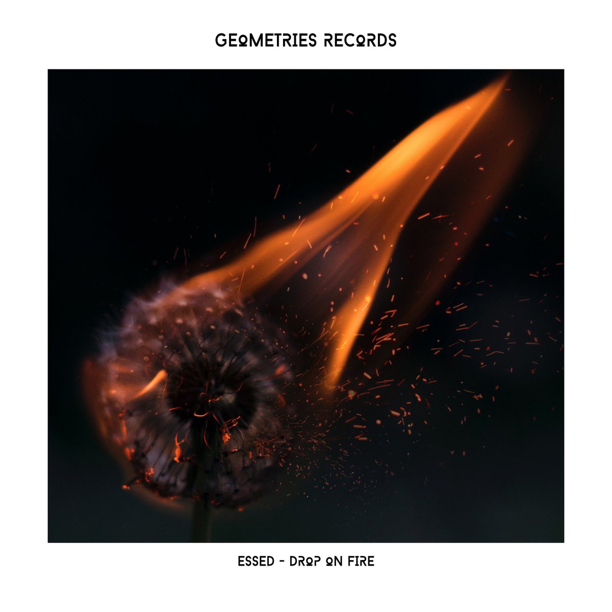 GeOmetriesrec's tweet photo. Out now @Stefanosd11 - Drop on fire!! download here for free!
https://t.co/P9uwF3eNd9 https://t.co/Q6VYad3uC0