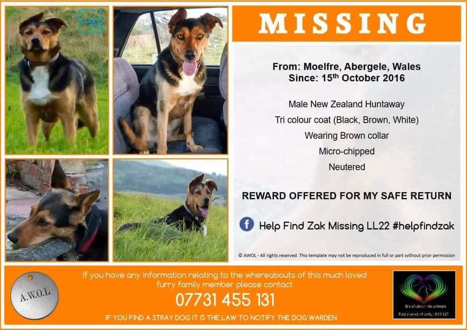 #FindZakHuntaway tweet media