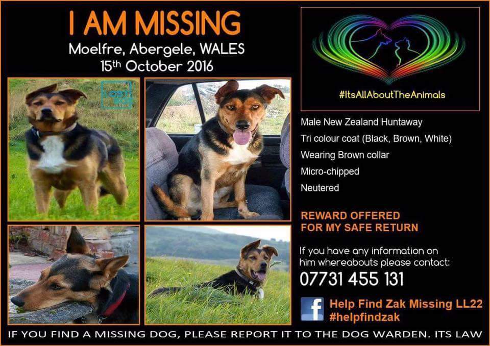 #FindZakHuntaway tweet media