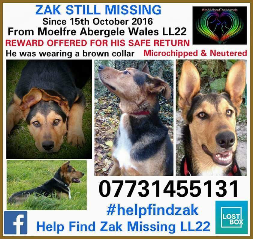 #FindZakHuntaway tweet media