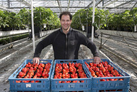 grntnnws's tweet photo. "Er is niets mis met de Nederlandse aardbei"
https://t.co/0DxyDOAOut https://t.co/bW4HovsxNe