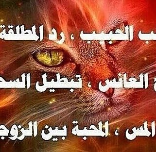 glbalhbeeb's tweet photo. https://t.co/yN6TijZCCc