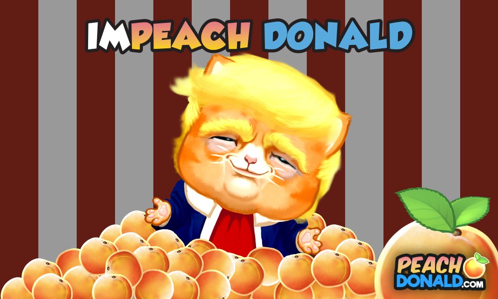 Purrresident's tweet photo. @UCOMMBlog @realDonaldTrump I'm not a clown. I'm a pussy cat. Who likes peaches. #impeachtrump #peachtrump #impeach https://t.co/H262CjZKmC