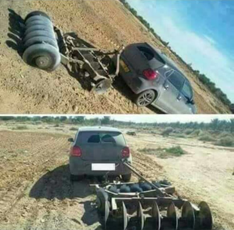 Sentletse's tweet photo. When we get our land back!

Afriforum must stop telling us that without them, there won’t be food. We’ve got this! https://t.co/eKutAyEsCu