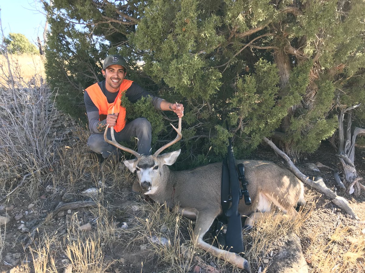 Tysonh801's tweet photo. My buck this year! #huntutah #hunt #buck #utah # https://t.co/bC1nQ00JLS