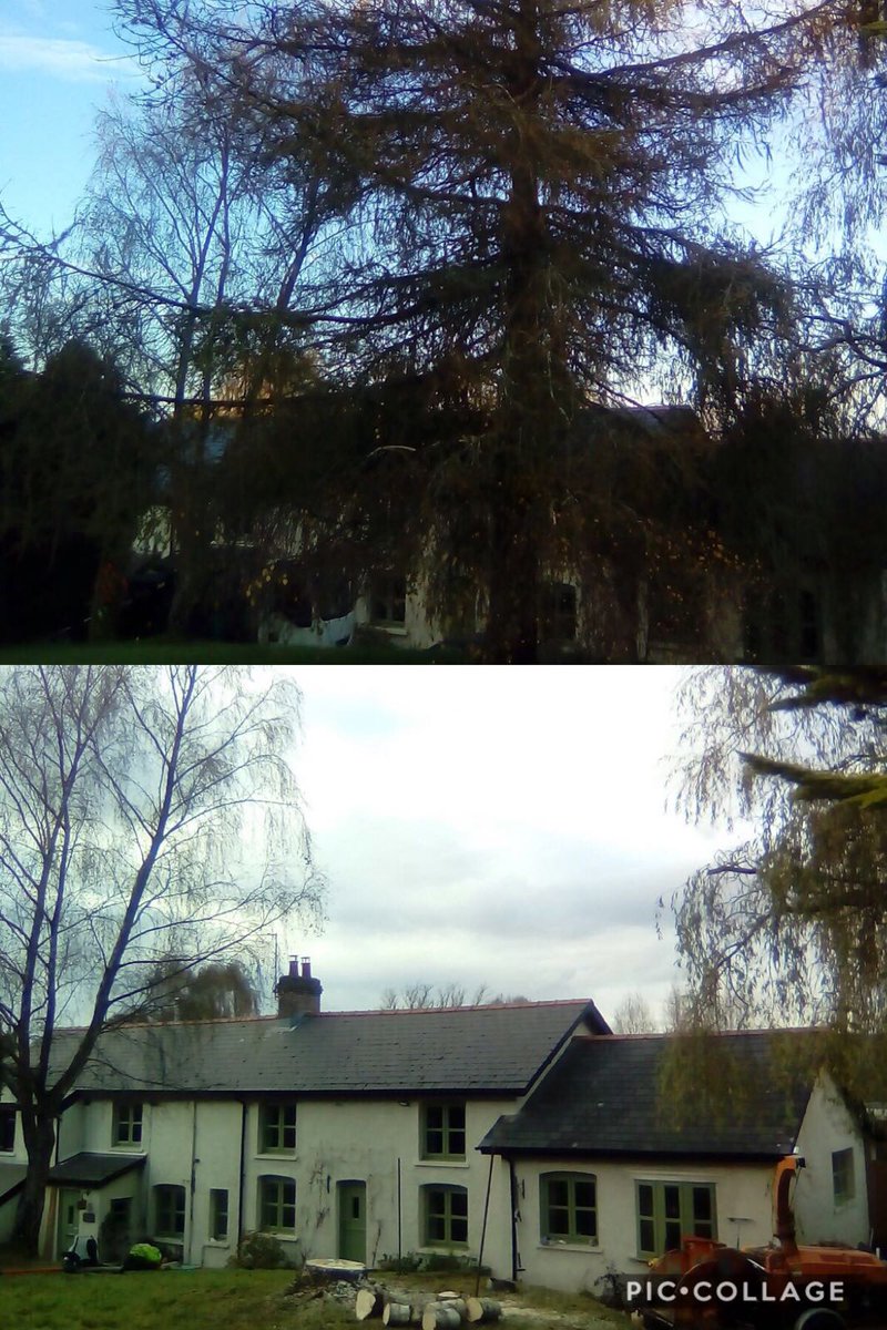 Castleton_Lands's tweet photo. Timber...
Dead tree professionally dismantled
#arbtalk #treesurgeon #cardiff
@CefnMablyBR @cefnmablylakes @CardiffHomesLtd @CardiffLets https://t.co/06takbbxlc