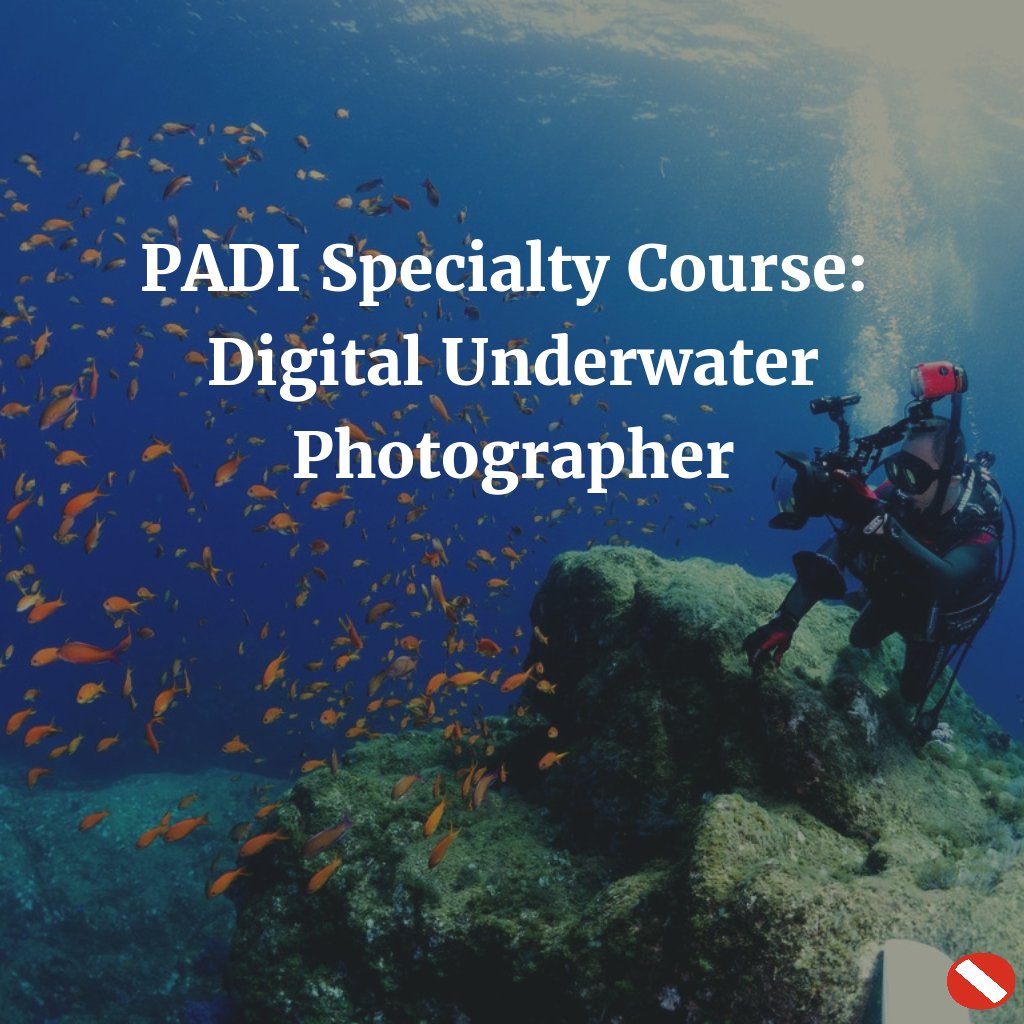 scubamarketing's tweet photo. Are you looking for a @PADI #specialtycourse to complete your #AOW? Check this one out! https://t.co/bl3rbR9eS2 https://t.co/KBtgKWSO5l